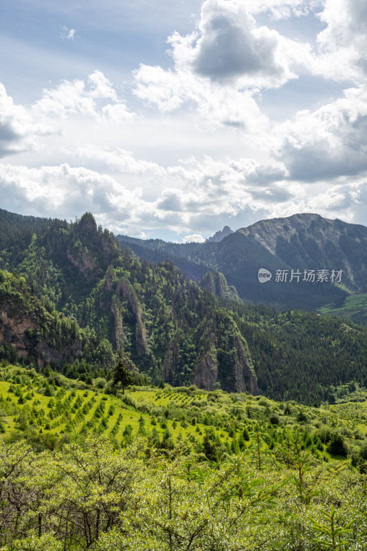 扎尕那蓝天白云山峰草地