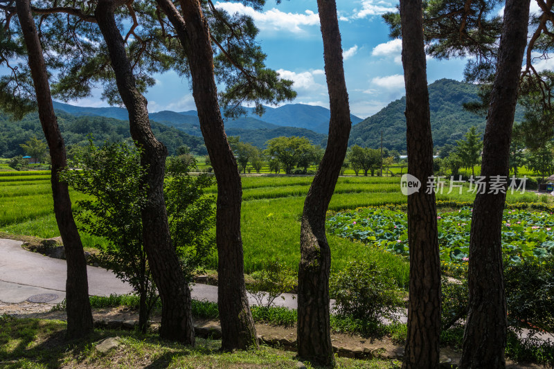 韩国外岩民俗村