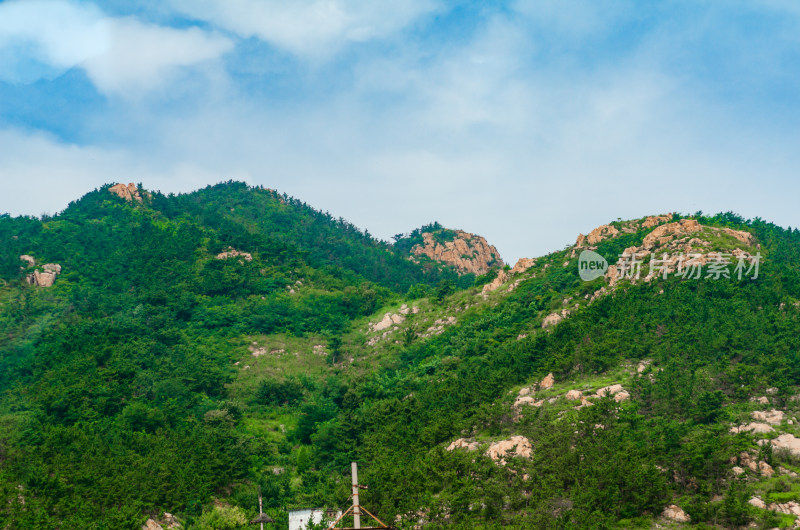 青岛崂山仰口风景区，起伏的山峰和松林