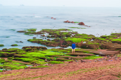 绿藻布满岩石的海岸