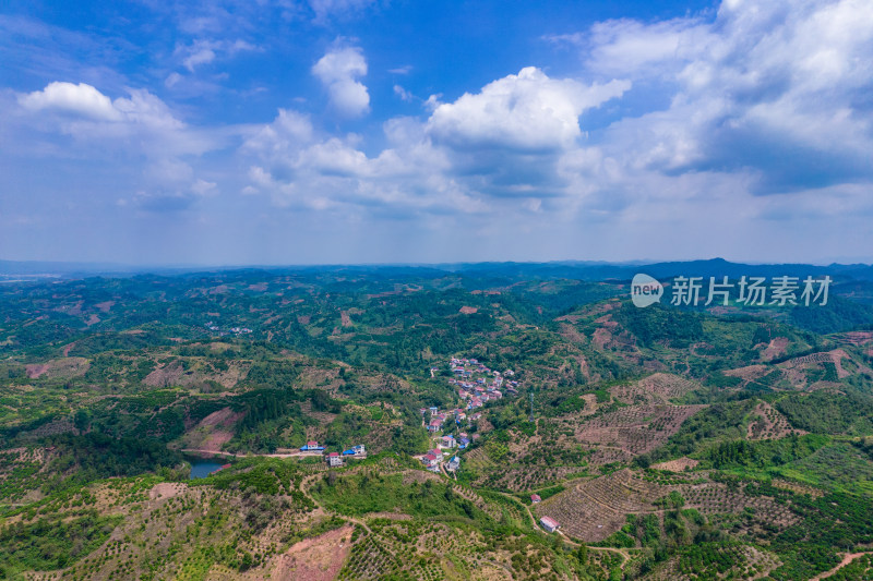 山川丘陵橙子橘子种植基地航拍摄影图