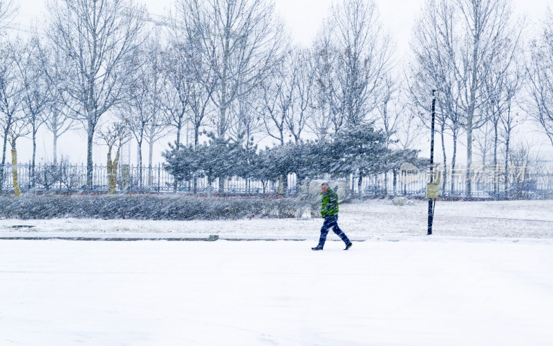 雪中  带积雪   厂区 雪景 大雪