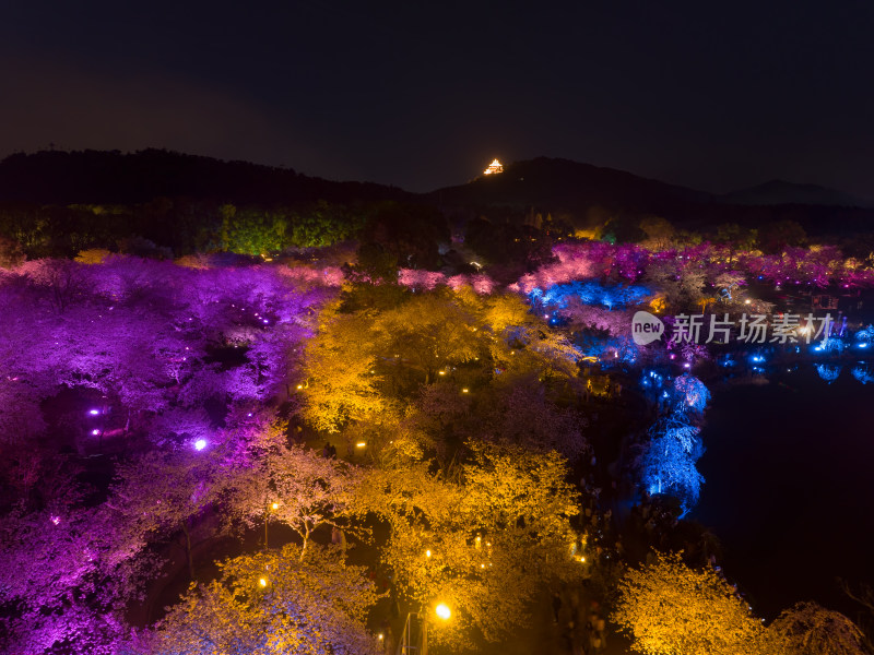 武汉东湖磨山樱花园夜景风光