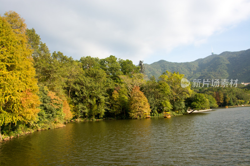 深圳仙湖植物园