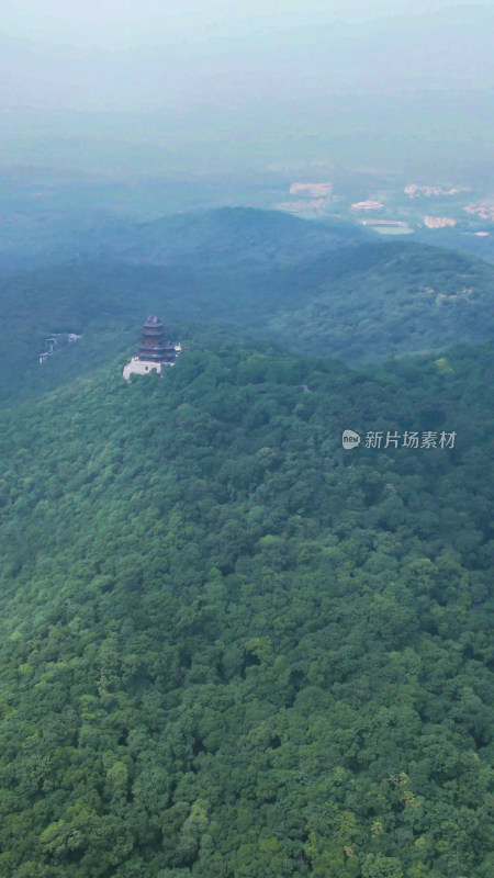 大自然绿色植物森林