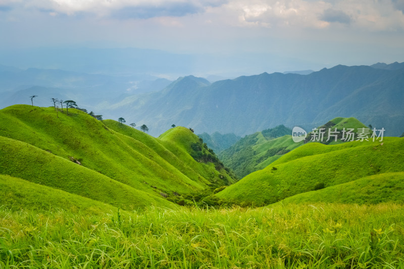 江西武功山高山草甸