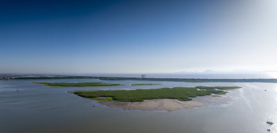 杭州大湾区湿地公园