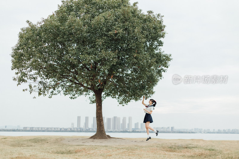 在苏州半月湾一棵树拍摄的JK制服写真