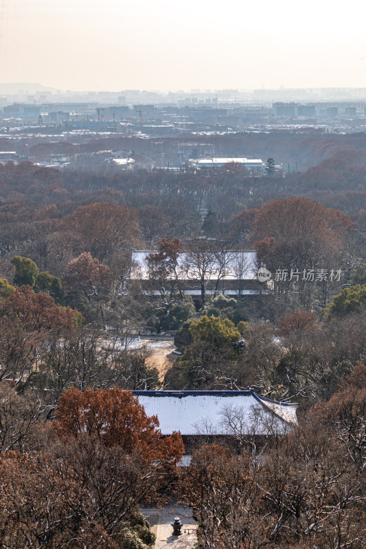 雪后的南京钟山风景区灵谷景区