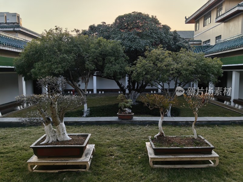 中南民族大学民族学博物馆