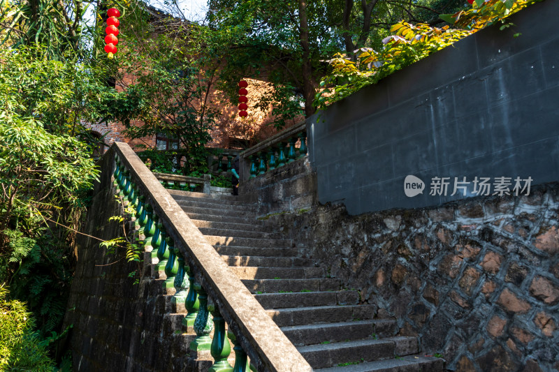 福州春天绿意盎然的冶山春秋公园景色