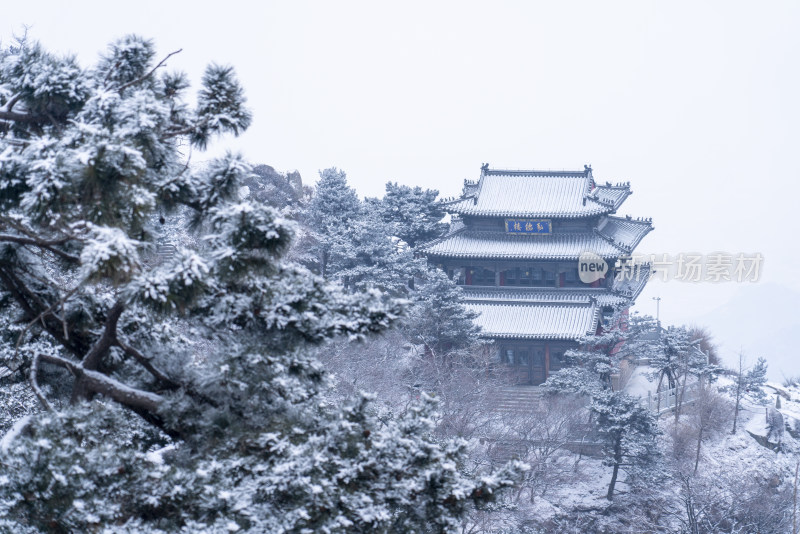 雪后泰山，银装素裹