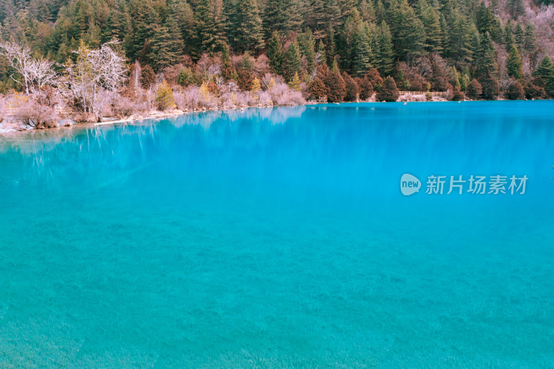 川西九寨沟冬季雪山碧蓝海子唯美