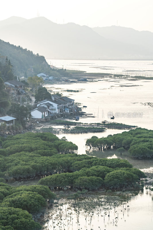 福建宁德霞浦县城红树林湿地涂滩海边景观