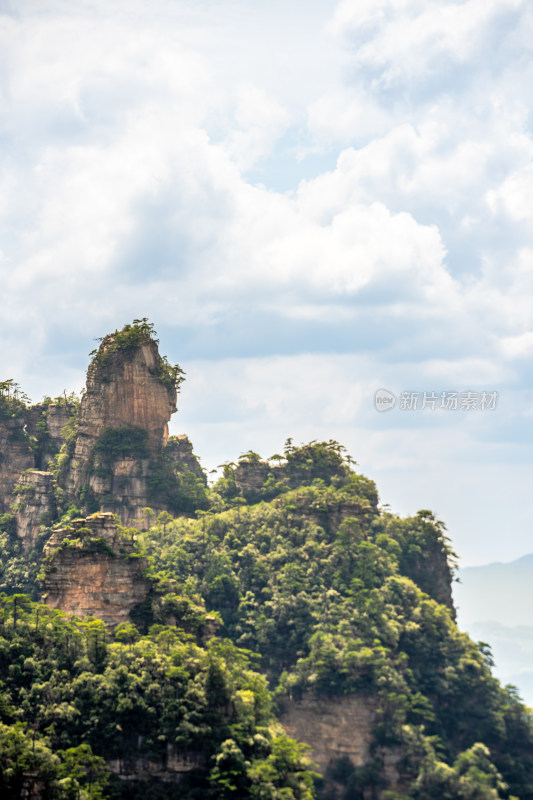 中国湖南张家界景区奇特山峰与茂密森林