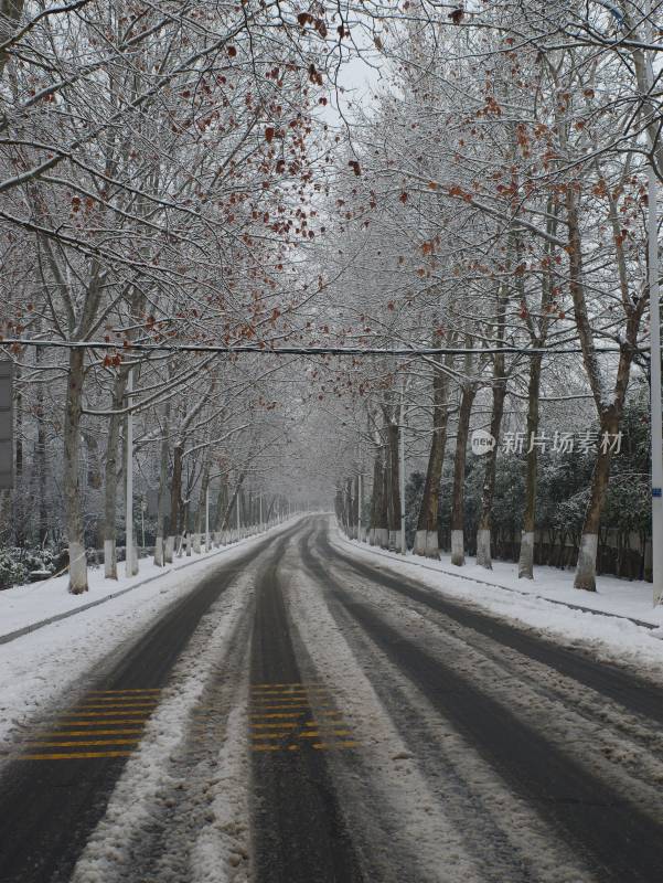 下雪时城市的道路