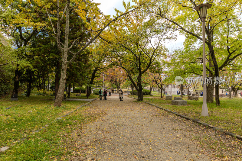 大阪城赏樱公园：樱花烂漫 游人大欢