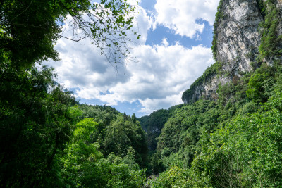 蓝天白云下的大山峡谷