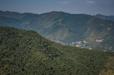 莫干山竹海风景