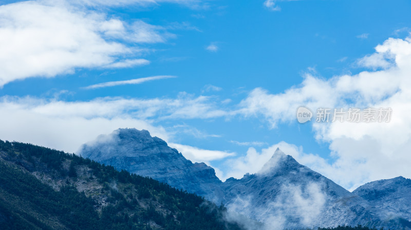 玉龙雪山牦牛坪