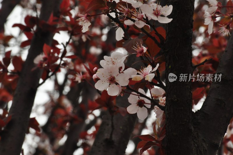 长沙风景，自然风光，长沙城景