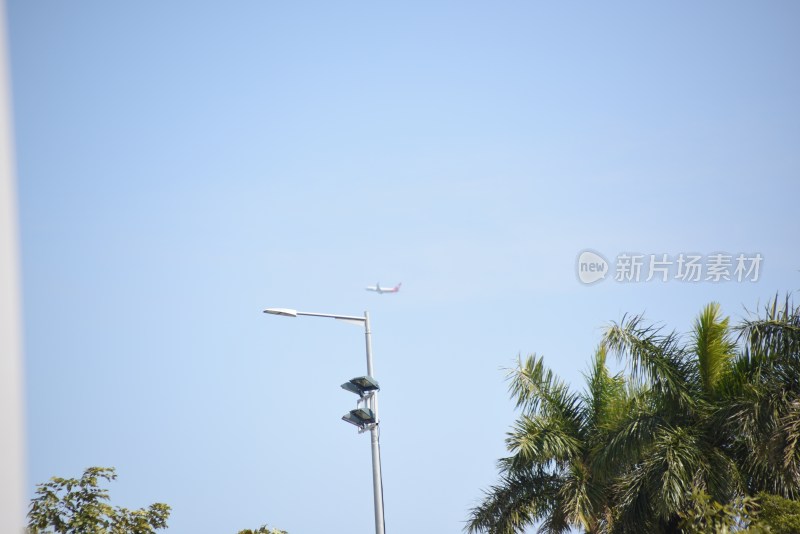 空中飞行的飞机与地面街灯棕榈树景象