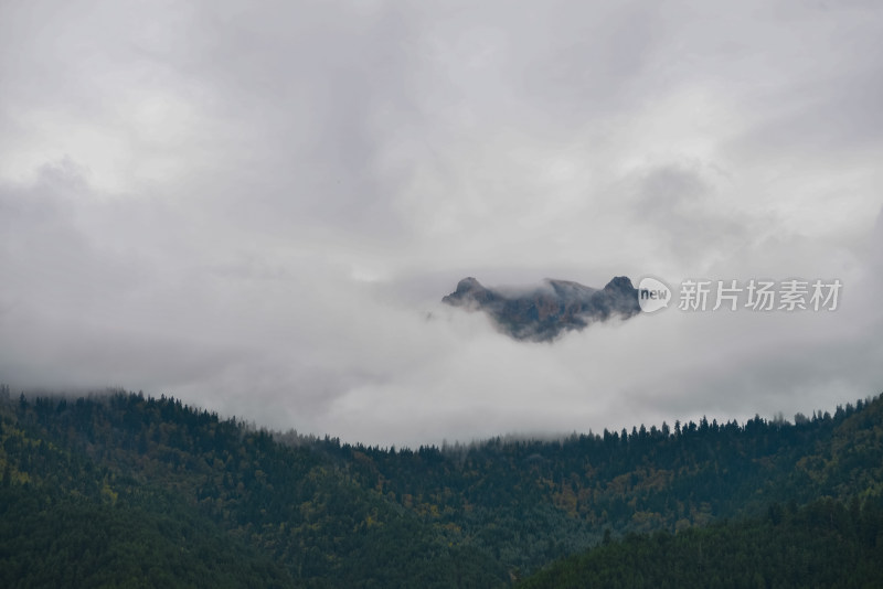 云雾中的森林山峰虎头山