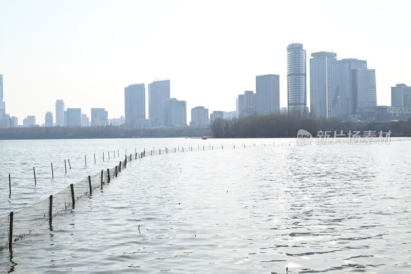 南京玄武湖湖畔城市天际线景观