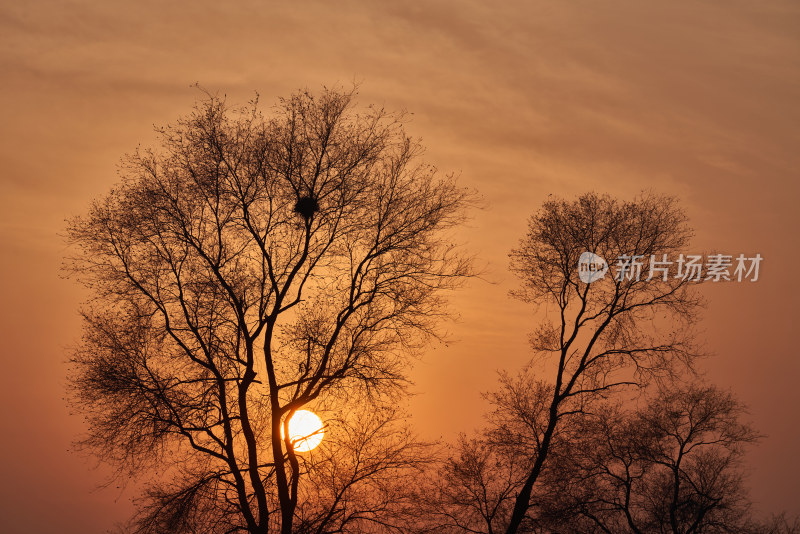 金色的夕阳