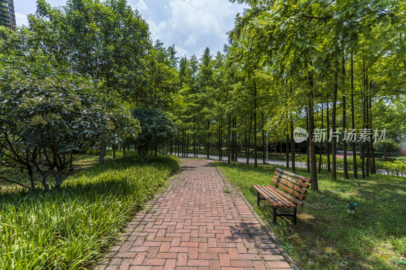 武汉青山区戴家湖公园风景