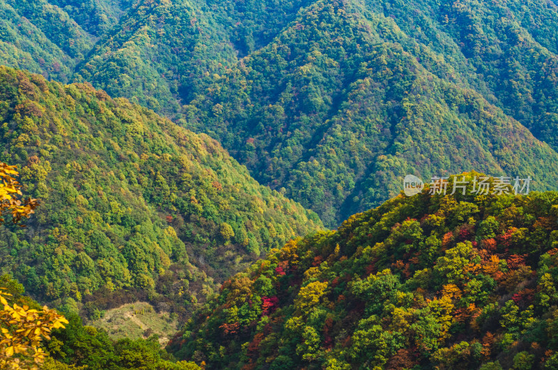 河南洛阳白云山风景区秋季的自然风光