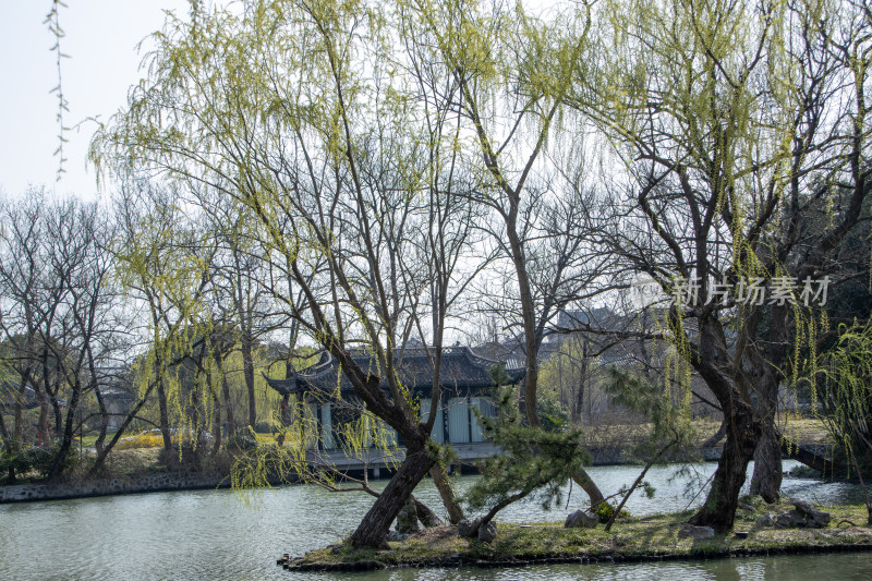 江苏省扬州市瘦西湖风景区湖岸春色