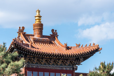 古建筑屋顶细节 山西大同法华寺