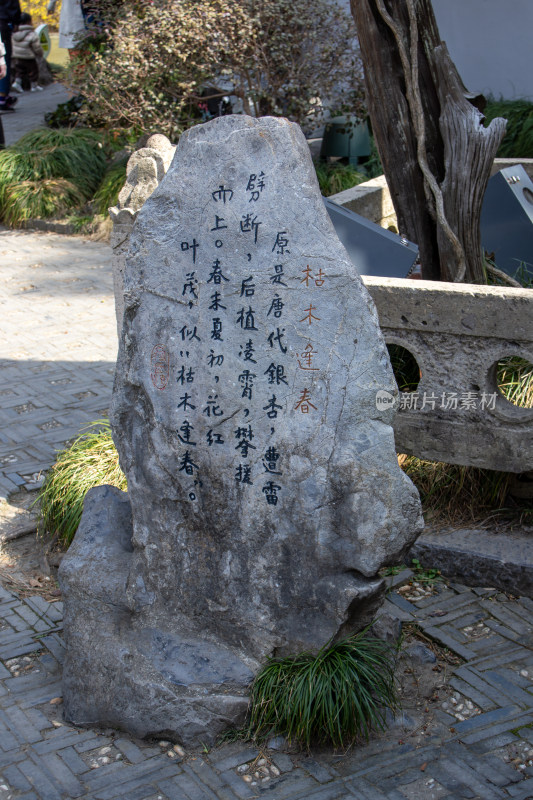 江苏省扬州市瘦西湖风景区枯木逢春石刻