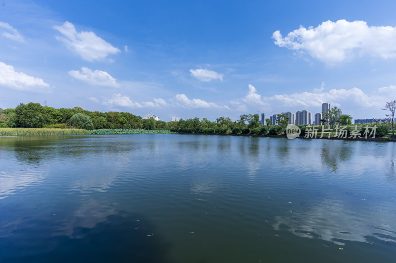 武汉蔡甸汤湖公园生态园林风景