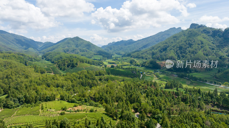 航拍武夷山绿色农田与茶园