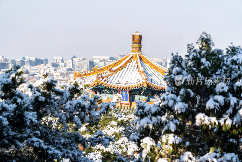 北京景山公园雪景