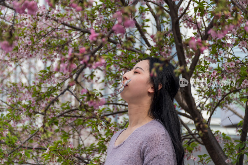 女子于盛开樱花树下闭眼享受