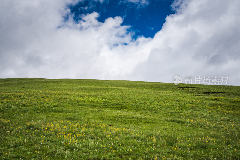 蓝天白云下广袤草原与连绵山峦自然风景