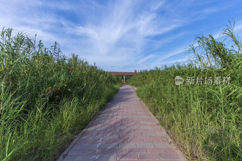 武汉汉口江滩公园风景