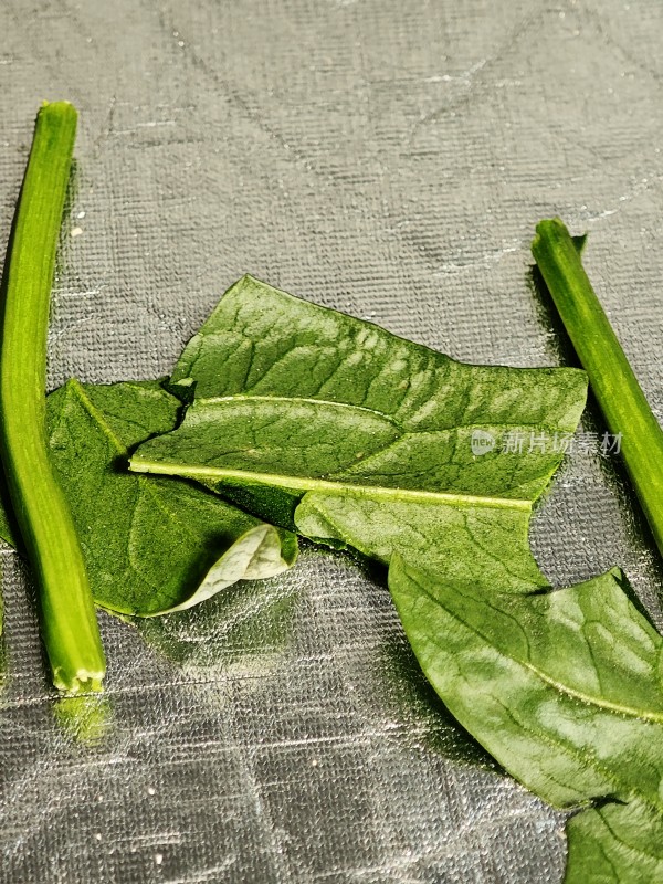 新鲜菠菜叶特写