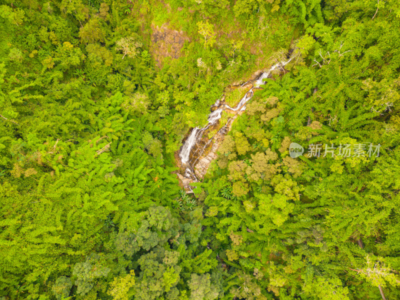 西双版纳热带雨林和瀑布的空中拍摄