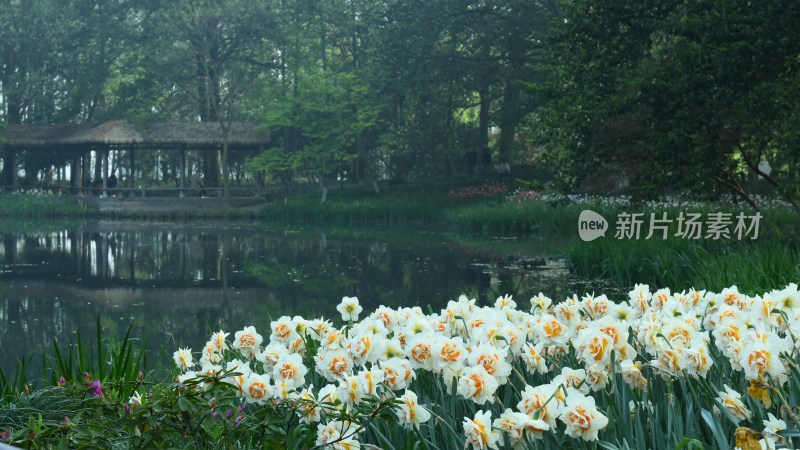 杭州西湖太子湾公园风景