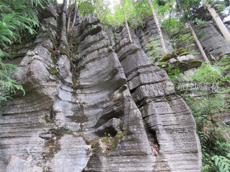 湖北恩施梭布垭石林旅游风光