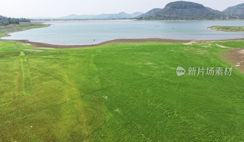 山东枣庄周村水库湿地草原风光