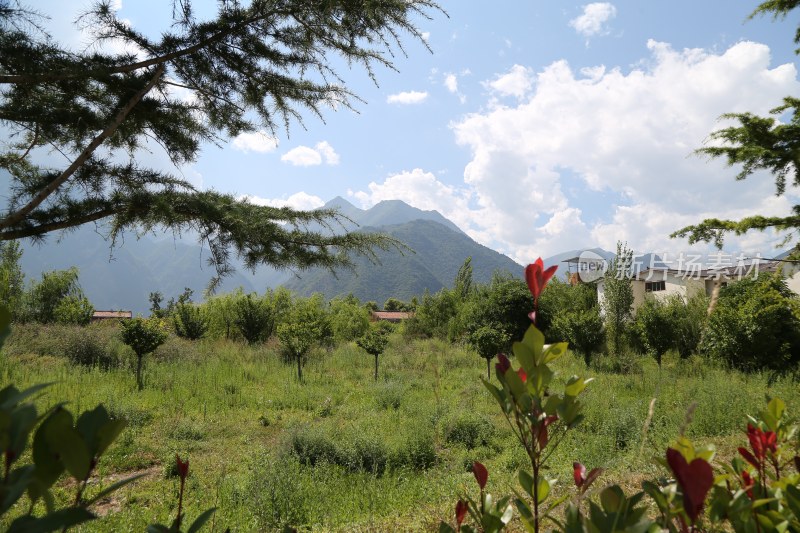 四川阿坝州叠溪镇的风景：蓝天白云、草地