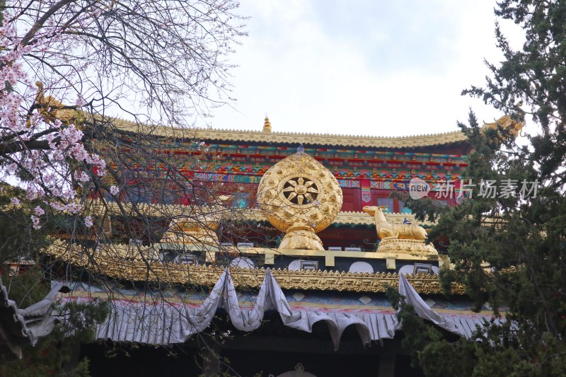 独克宗古城大佛寺