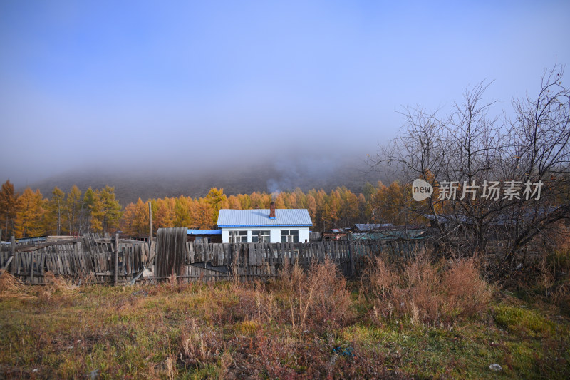 秋天的林中小屋小木屋