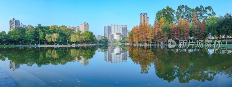 佛山千灯湖南海活水公园落羽杉城市景观长图