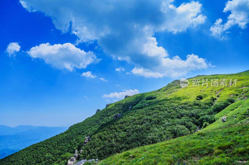 夏季蓝天白云绿色高山草甸群山大气风光